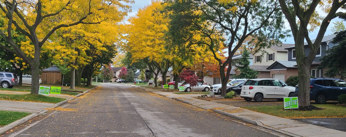 freesia_100's tweet photo. The signs speak for themselves #VoteForChange #HamiltonVotes #Ward10 #StoneyCreek @jeffbeattie2014 @voteloomis @keaninloomis https://t.co/it76Zpf3FT