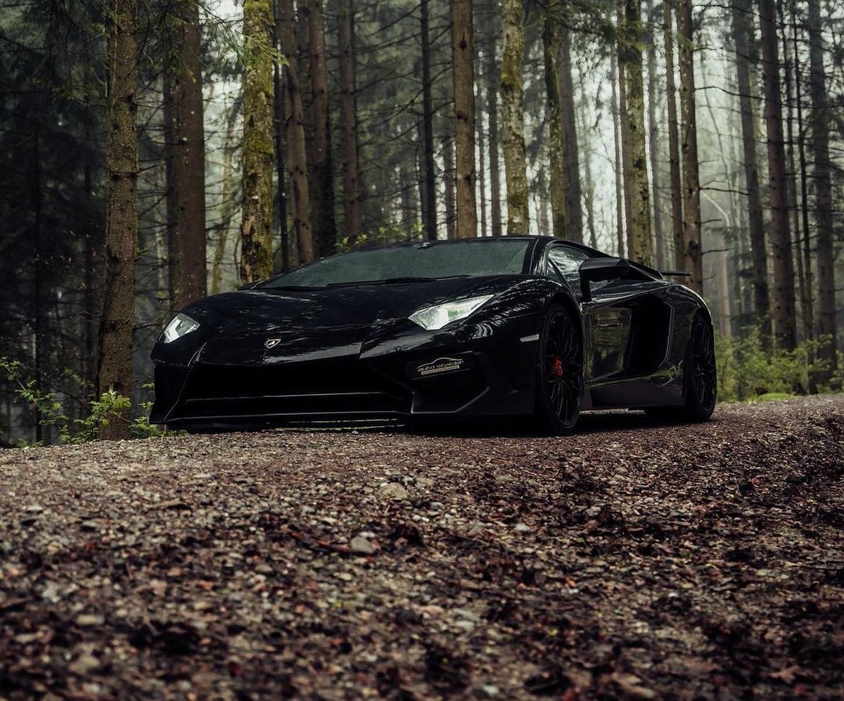 DailyLamboTM's tweet photo. Blacked out Lamborghini Aventador SV 🦇 https://t.co/3YvSTNT8zg