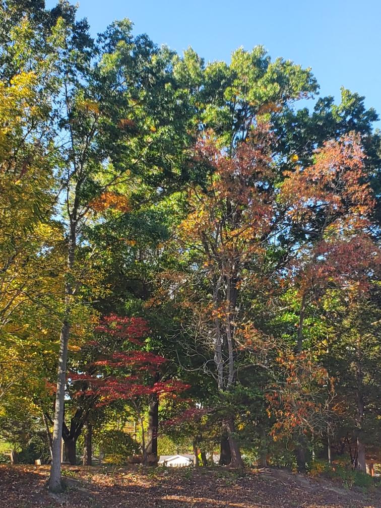 KeepCB's tweet image. Have a fabulous afternoon!!