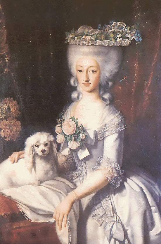Maria Anna of Savoy, Princess of Savoy & later Duchess of Chablais (1757–1824), & more importantly, a dog 🐾 Presumably she was given this gorgeous hat & lovely pooch to make up for the fact that she had been married off to her actual uncle aged 17 😬