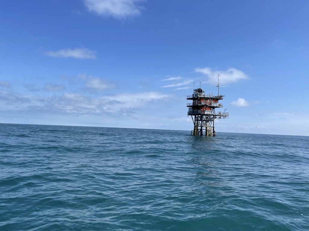 Dalin JIANG tweet media