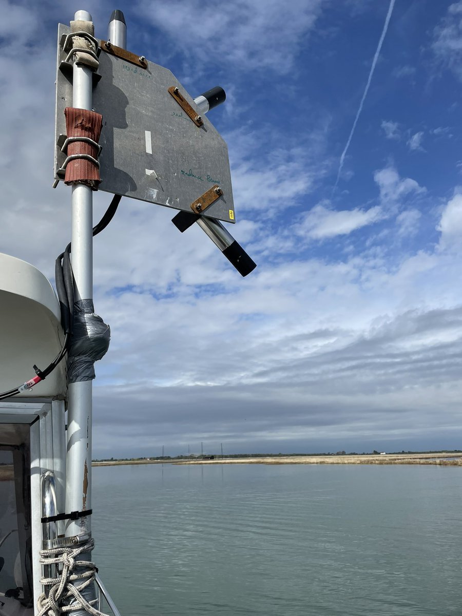 Dalin JIANG tweet media