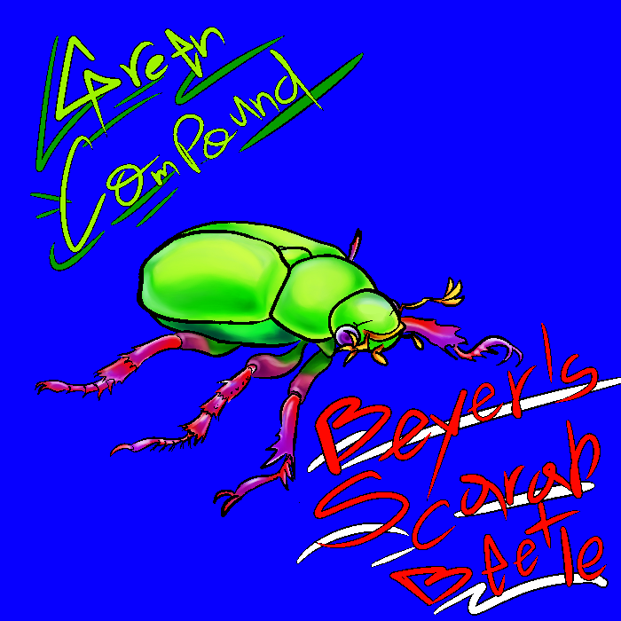 First day of #Invertober2022 by <a href="/fossilforager/">Nicole 🪲</a>, I'm kinda scare for challenge, I already feel like I commited some mistakes with this one