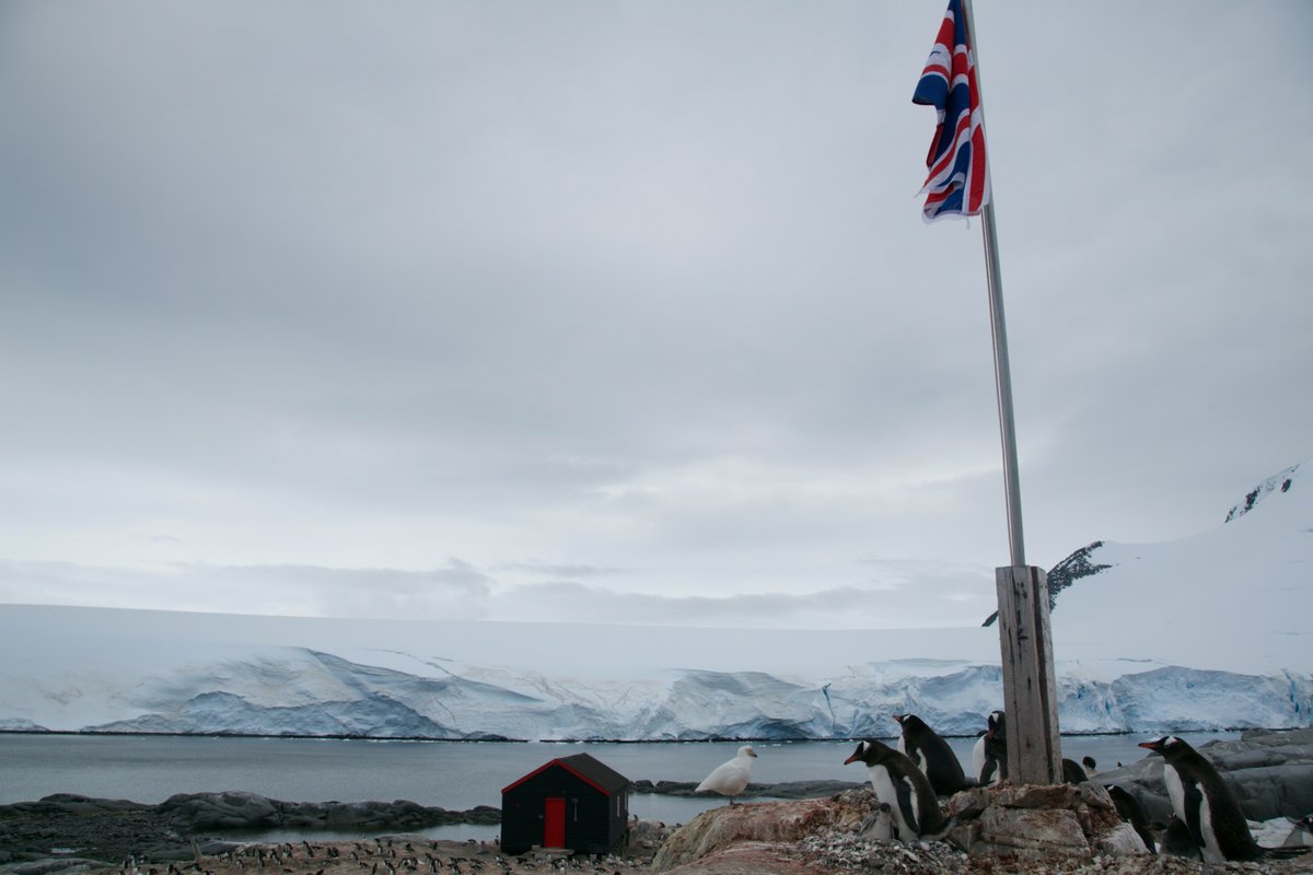 AndraMPopa's tweet photo. A photo of Queen Elizabeth II at Port Lockroy in Antarctica. The music worked, and I captured an Australian couple dancing beneath her photo. https://t.co/t7LHIVnurO