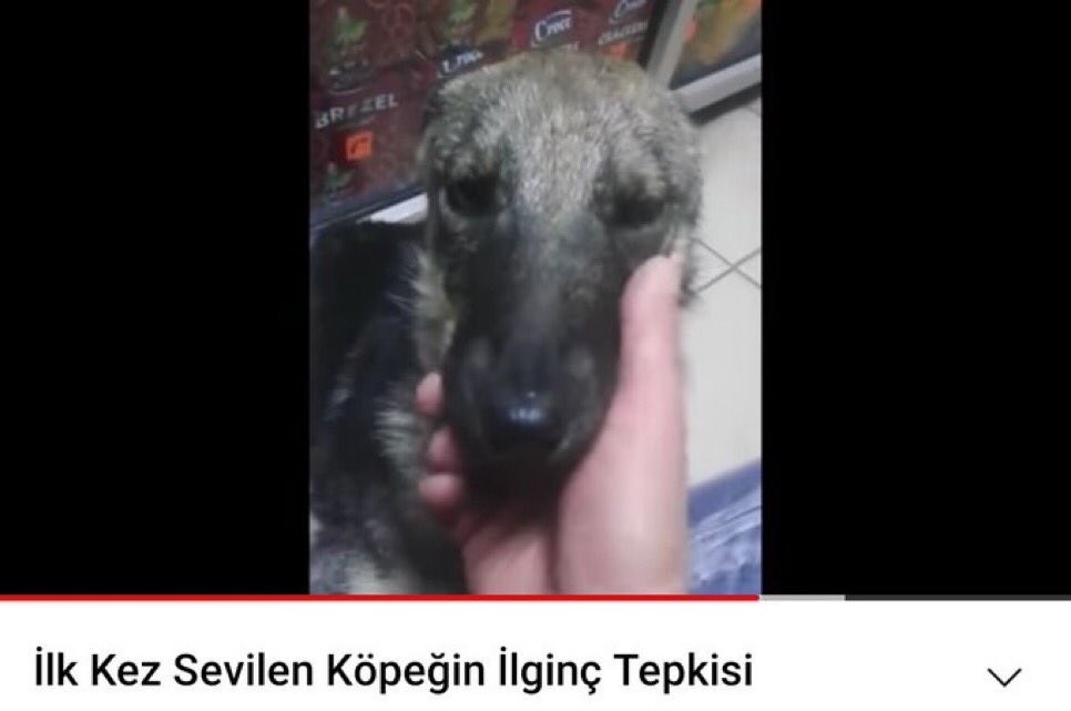 dustan cıktım deyince sacını kuruttun mu demistir