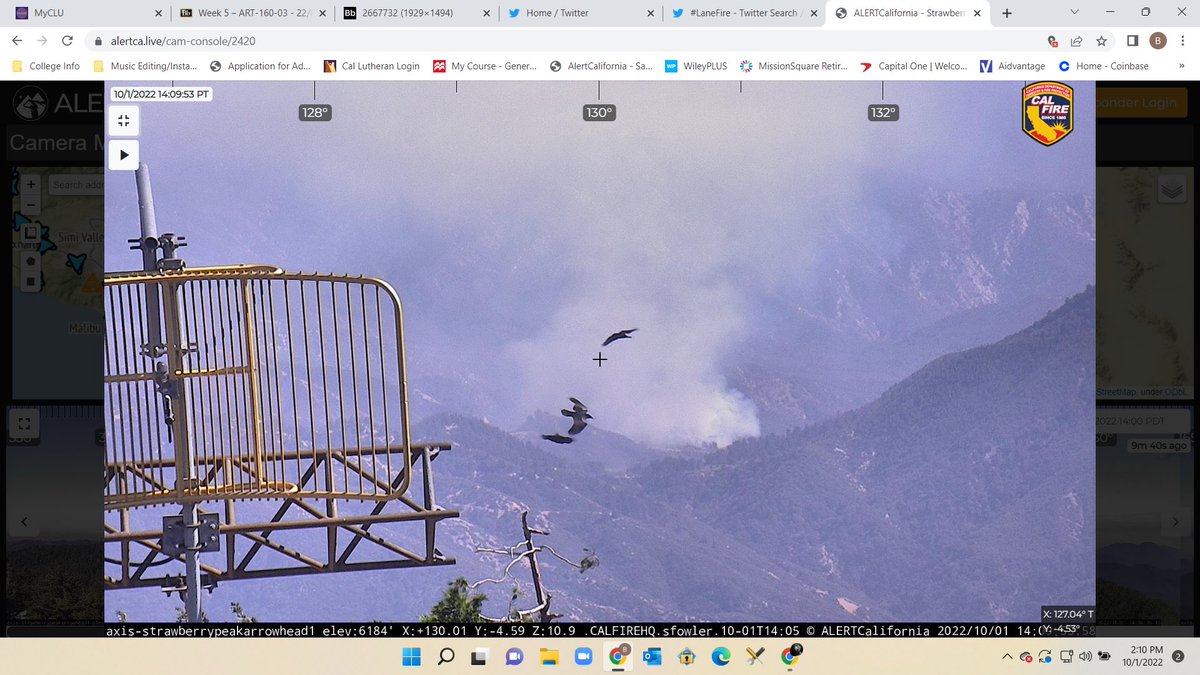 BeatsEquinox's tweet image. We got some bird action on the #LaneFire.
Hopefully ffs can get this one out quick.
