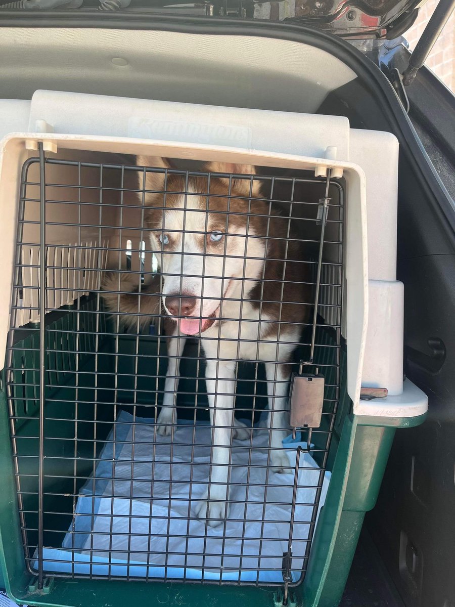 March Brothers Films Inc. on Twitter "RT SandraK93322487