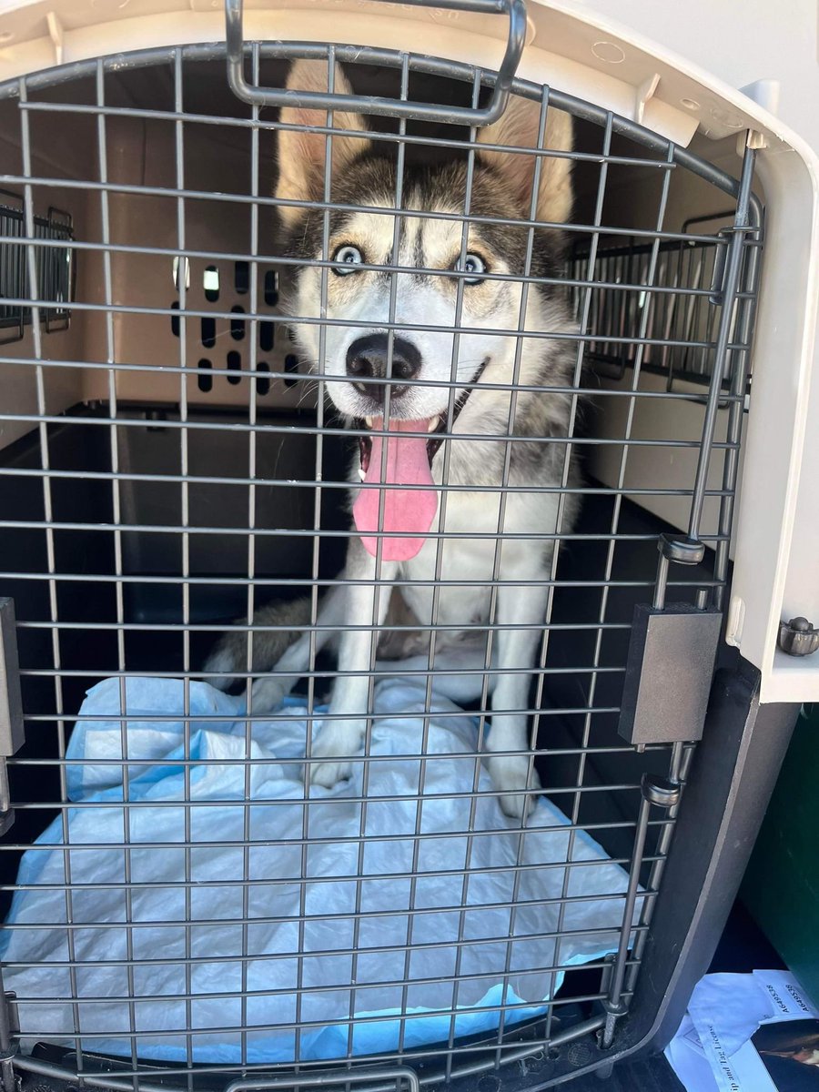 March Brothers Films Inc. on Twitter "RT SandraK93322487