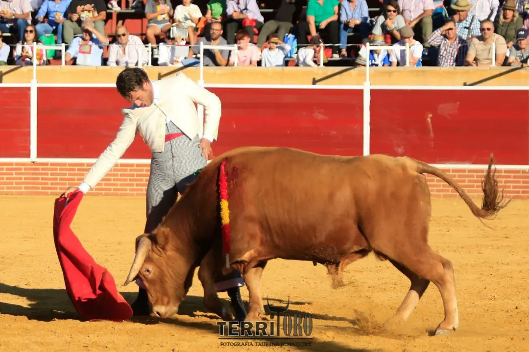 Afitauro tweet media