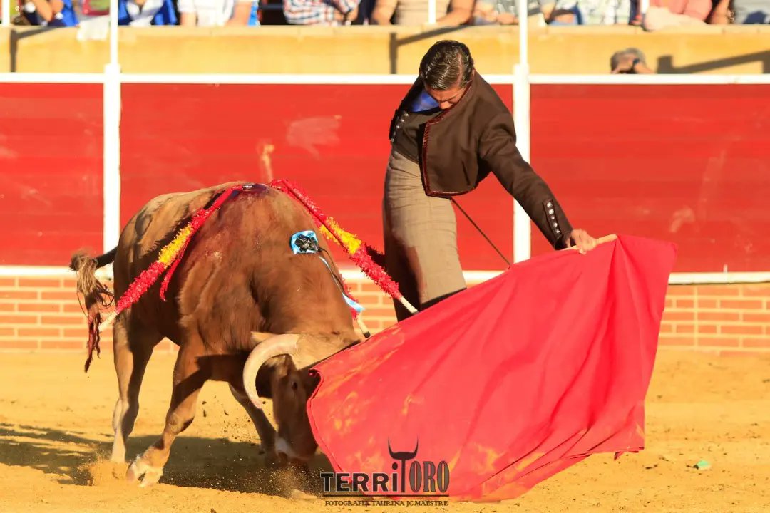 Afitauro (@afitauro) on Twitter photo 📍Pantoja, (Toledo).
Festival taurino
- <a href="/JSFino/">Juan Serrano Fino</a> pitos tras dos avisos y oreja.
- <a href="/nachotorrejonr/">nacho</a> dos orejas y dos orejas.
<a href="/Actsantabarbar1/">Actsantabarbaradepantoja</a>
📷 <a href="/MAESTREJc/">JUAN CARLOS MAESTRE-TERRITORO</a> 📍Pantoja, (Toledo).
Festival taurino
- <a href="/JSFino/">Juan Serrano Fino</a> pitos tras dos avisos y oreja.
- <a href="/nachotorrejonr/">nacho</a> dos orejas y dos orejas.
<a href="/Actsantabarbar1/">Actsantabarbaradepantoja</a>
📷 <a href="/MAESTREJc/">JUAN CARLOS MAESTRE-TERRITORO</a>