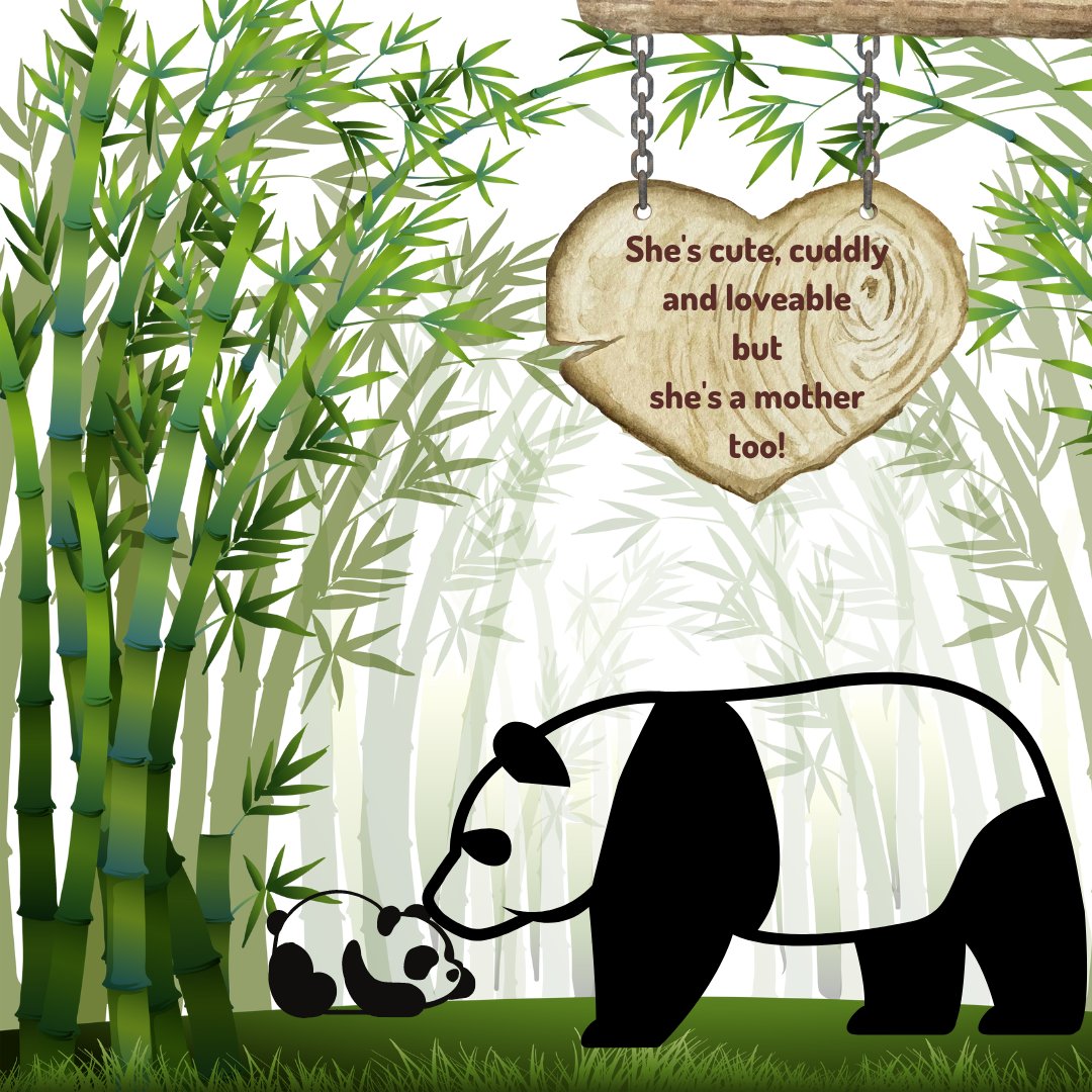 JananiRatnayake's tweet photo. #CanvaDesignChallenge 
Theme - Pandas 🐼 https://t.co/AZNPntn9B1