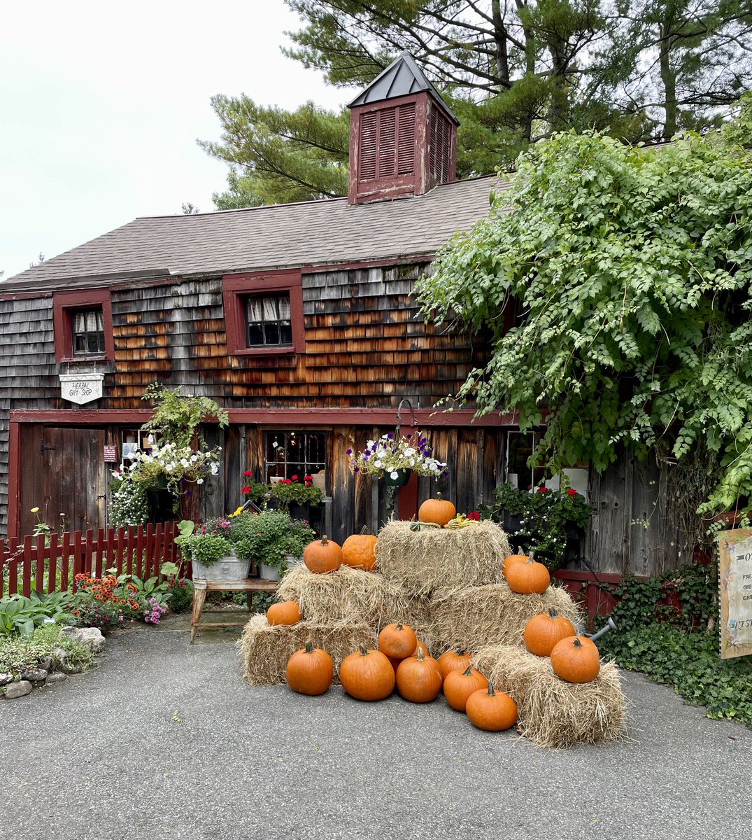 danpnut's tweet photo. Pickity Place Restaurant in Mason, New Hampshire.  The original Little Red Riding Hood 👩🏻‍🦰 🦊house. Great food and fun with friends.  #Pickityplace https://t.co/4lipDqw0gG