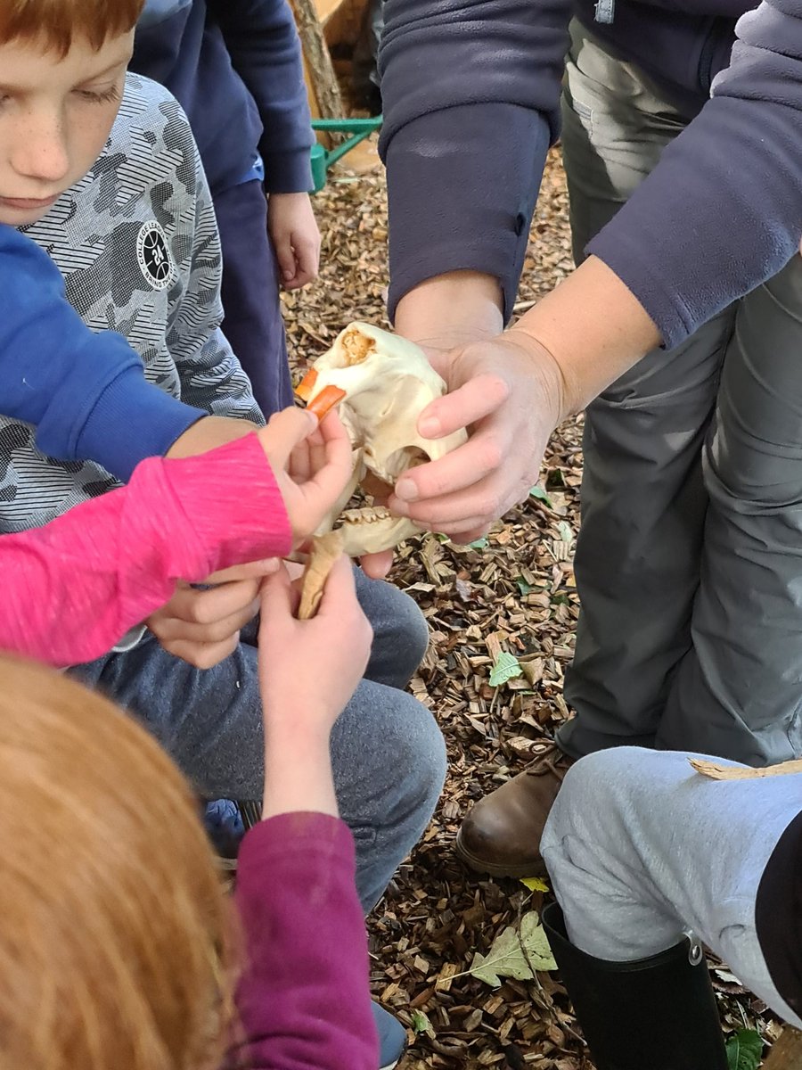 LfSAngus's tweet photo. My son and I went to the #AngusClimateWeek event at the Montrose Basin Visitor Centre this morning. We learnt about Scottish beavers and had a go at building our own beaver dam. We also found out more about nature-based solutions and the beaver's role in tackling climate change. https://t.co/BrJjcm27dn