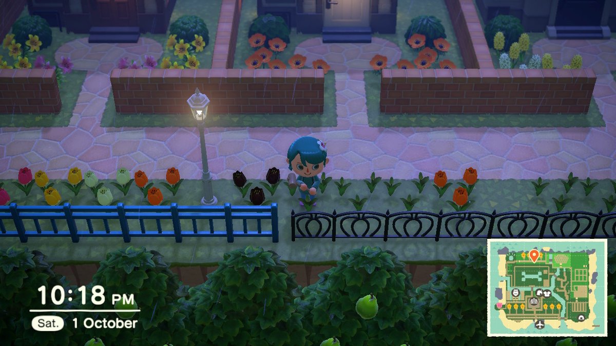 layznlaura's tweet photo. #AnimalCrossing #ACNH #NintendoSwitch https://t.co/4cWpJau1gx