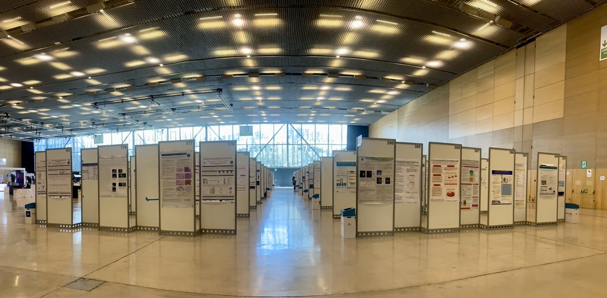 Benchista's tweet photo. #SIOP2022 was the perfect opportunity to expand, share knowledge and connect. Privileged to see groundbreaking and wonderful work developed by our leads and colleagues from around the world ๐๐ผ๐๐ผ๐๐ผ#ChildhoodCancer #PPIE #HeathData #ChildCancerSmart #Guidelines #Research https://t.co/FEYH9NSW3Q