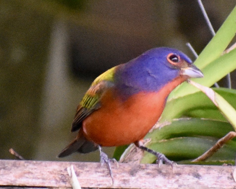 Andrew Kearns tweet media