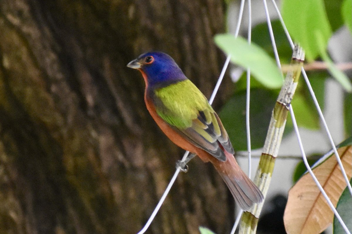 Andrew Kearns tweet media