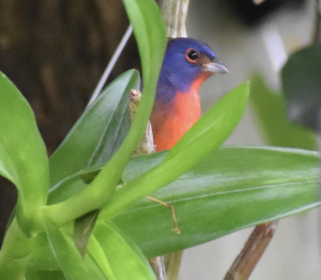 Andrew Kearns tweet media