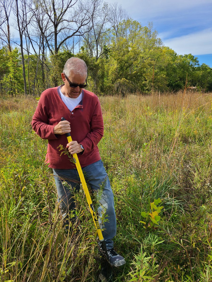 LesleyMansfield's tweet photo. Settled in @OnHarbour in beautiful Port Stanley after planting tulip, silver maple and red maple trees in Sydenham River Nature Reserve with @OntarioNature this afternoon.  What a glorious autumn day! https://t.co/TW74d7c6Vk