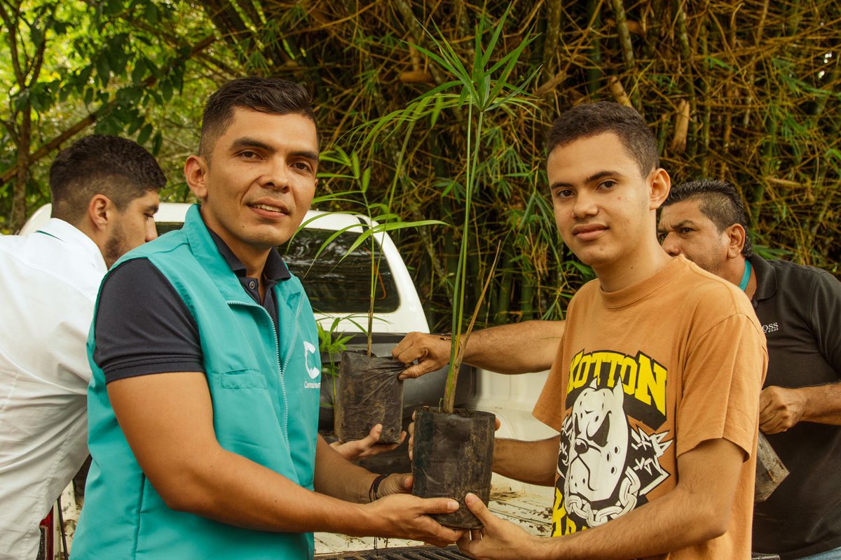 CORMACARENA's tweet photo. ¡No solo entregamos un planta, entregamos vida!

Nos enorgullece aportar a las iniciativas que los jóvenes del Meta lideran para que los ecosistemas del departamento sigan existiendo. Estaremos siempre atentos al llamado de la comunidad para seguir construyendo un #MetaVerde. https://t.co/uYtaIqyUo0
