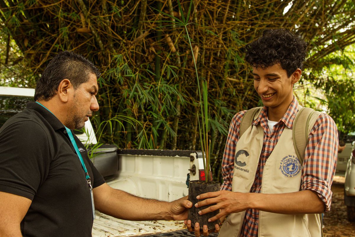 ¡No solo entregamos un planta, entregamos vida!

Nos enorgullece aportar a las iniciativas que los jóvenes del Meta lideran para que los ecosistemas del departamento sigan existiendo. Estaremos siempre atentos al llamado de la comunidad para seguir construyendo un #MetaVerde.