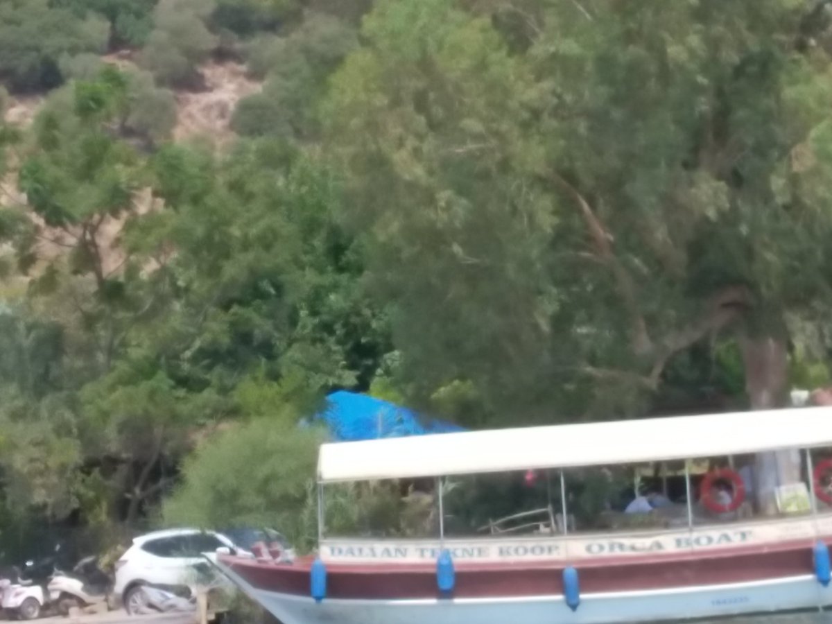 Yokmu denizlide kimse
Takılalım biraz