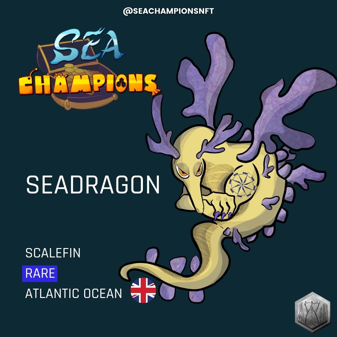Get to know a little better one of our champions of the seven seas.
Nenrung the Dragon(Sea Dragon)They have a brown or yellow coloration on their body. They can be up to 35 cm long, are carnivorous and feed mainly on small crustaceans and sea lice.