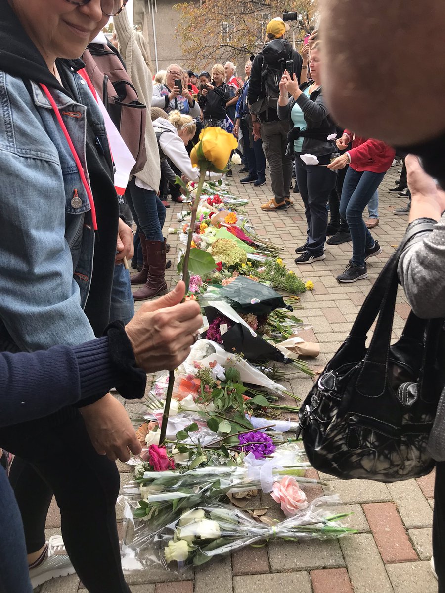 Jane D’arc (VI) ✨🌏✨🇫🇷🇨🇭🇱🇷🇨🇦🌻 tweet media