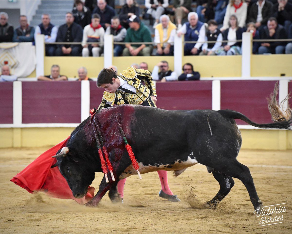 ‼️ DIRECTO 🔔

📍 Parentis-en-Born 

Sin opción al segundo de su lote.. 

📸 <a href="/BordesVictoria/">Bordes Victoria</a>
