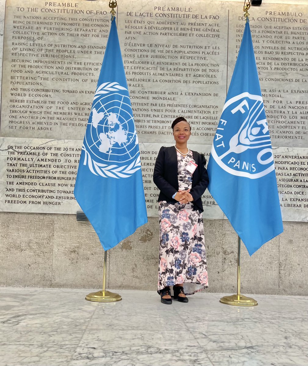 lilyibengwe's tweet photo. COFI 35th Session,Rome #FAO https://t.co/jwqcJn7WHC