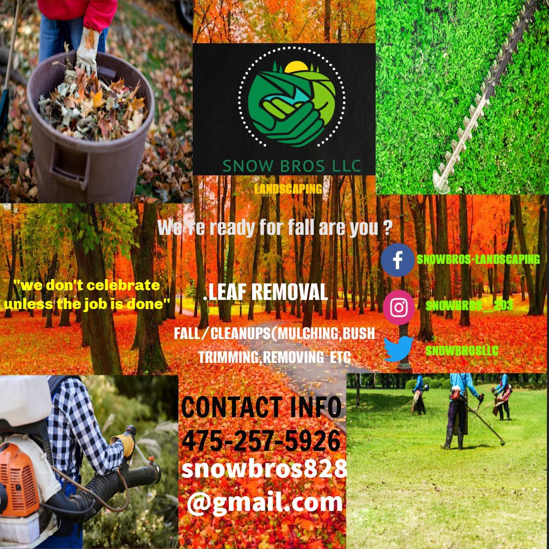 SnowBrosLLC's tweet photo. 🍂🍂🍂🍂🍂🍂🍂🍂🍂🎃🎃🎃 https://t.co/AiDfkPj8xA
