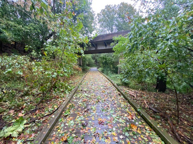 Town of Hillsborough tweet media