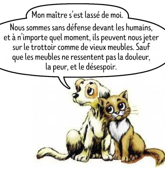 justineducern's tweet photo. https://t.co/BfFC8b34g6