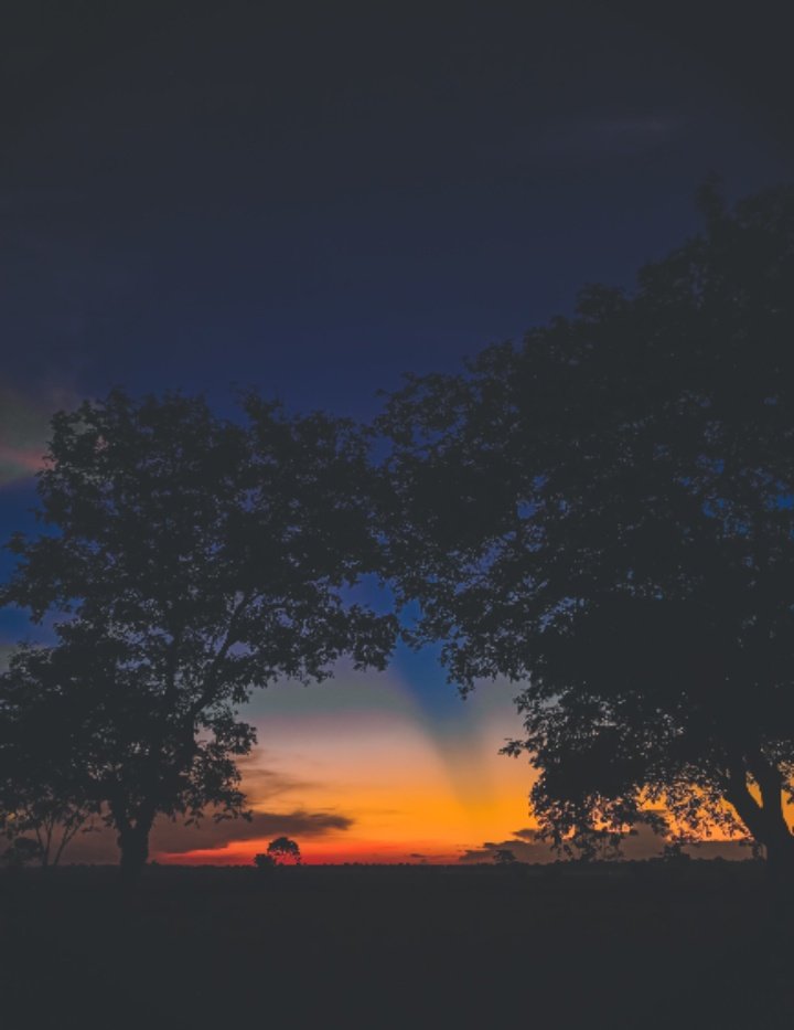 Borokha7's tweet image. সন্ধিয়াৰ শেষ ৰাঙালী ৰঙকণ আকাশৰ পৰা নোহোৱাৰ হৈ যোৱা মূহুৰ্তত✨💌
#mobilephotography  #nature #sunset