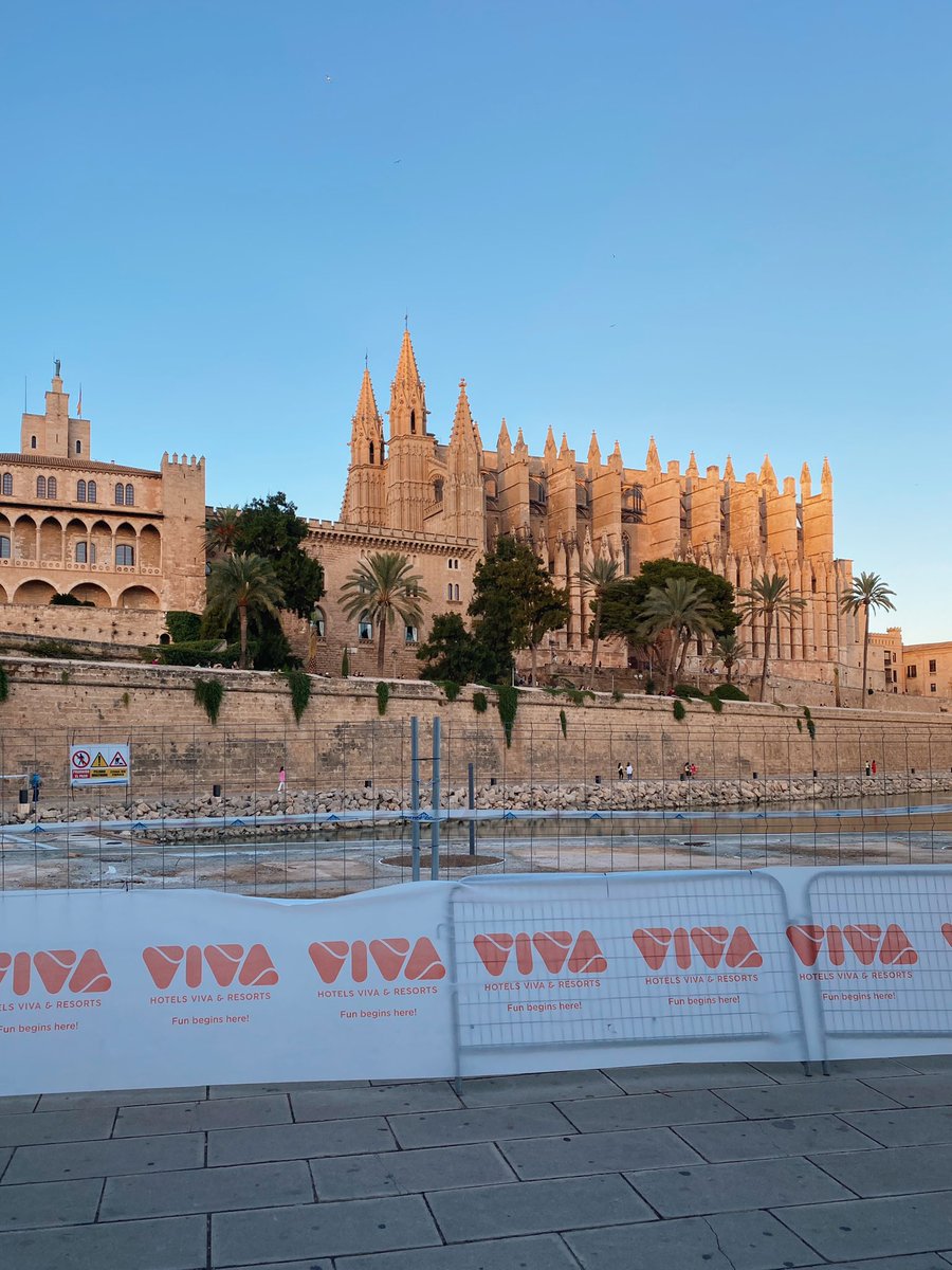 HotelsViva's tweet photo. Hoy estamos en Palma, con nuestros amigos de @CadenaSERrunner en la VIII Carrera Nocturna de Sa Murada. ¡Felices de ser colaboradores de esta carrera solidaria!🧡💪
#samuradadepalma #SerRunner #HotelsVIVA https://t.co/W3YDgyhe8O
