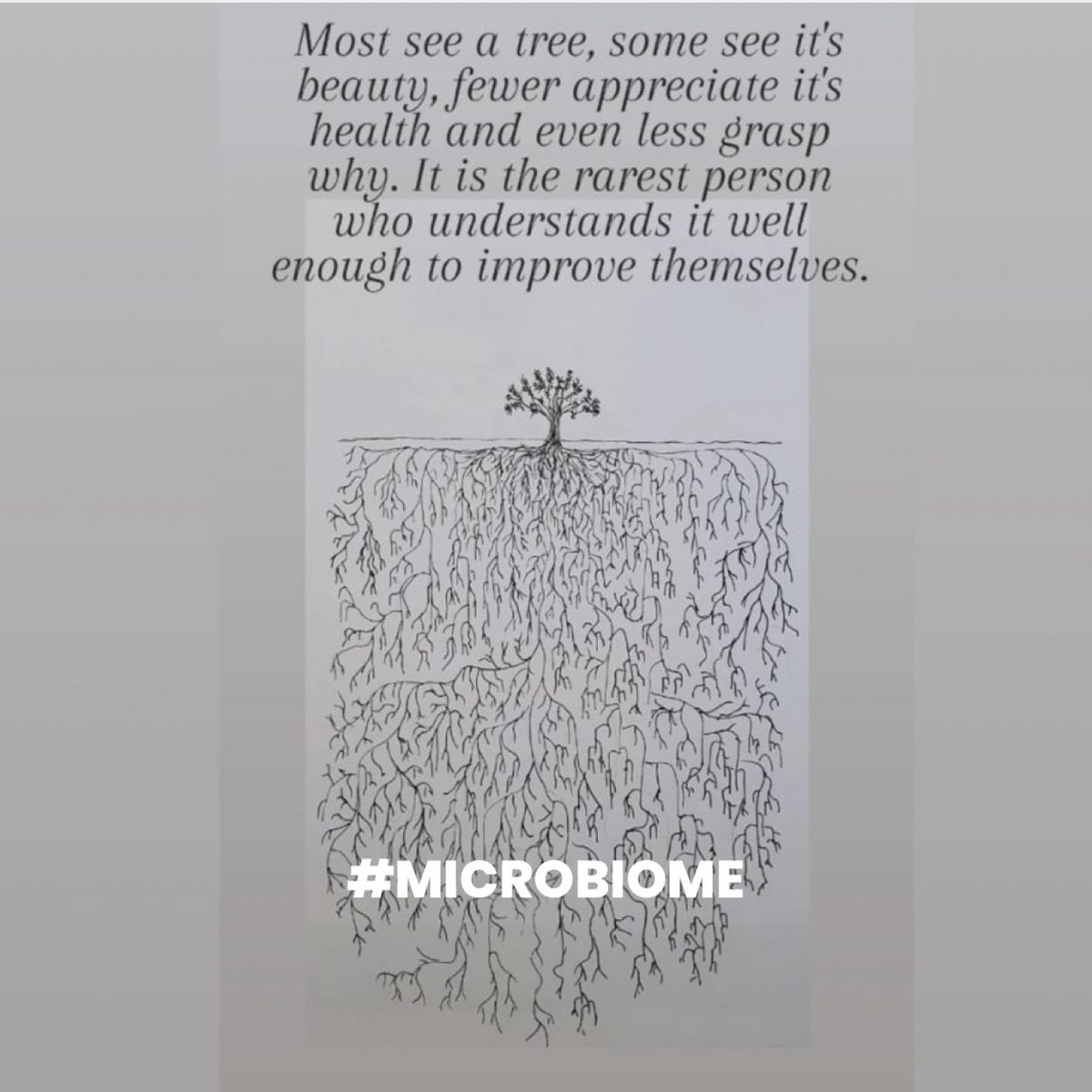 DrSeanOMara's tweet photo. The most under appreciated, underutilized BUT most exploitable enduring feature of our bodies and health today. Drawn by another MD as passion about health optimization as myself. More in my YouTube and Instagram. #microbiome #health #healthy #obesity #doc2alphas #cravings https://t.co/7x6oU5Fci4