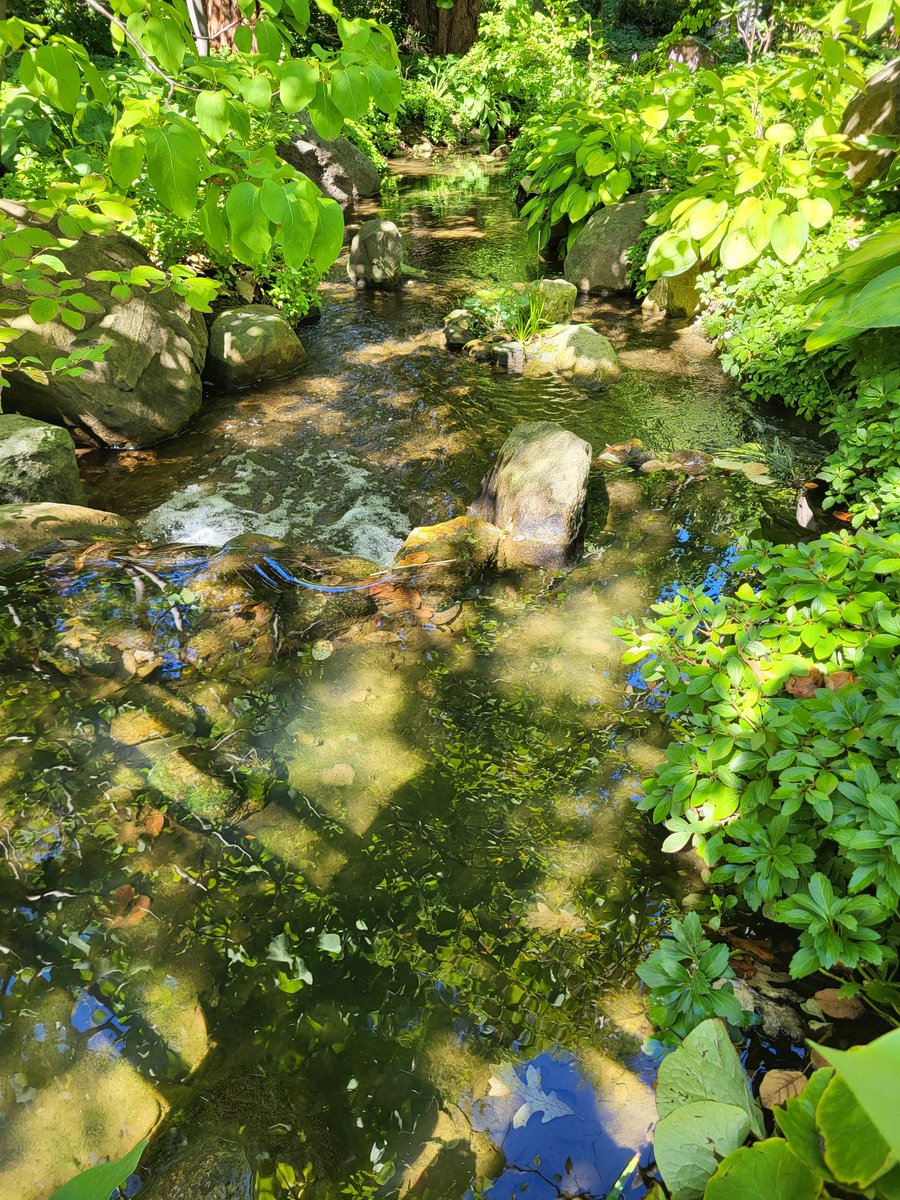 KaraStone40's tweet photo. From #football to #nature ... it is a beautiful day to be outside @AndersonGardens
#Stone7 #CatfishMafia https://t.co/sI5ZhzCAuj