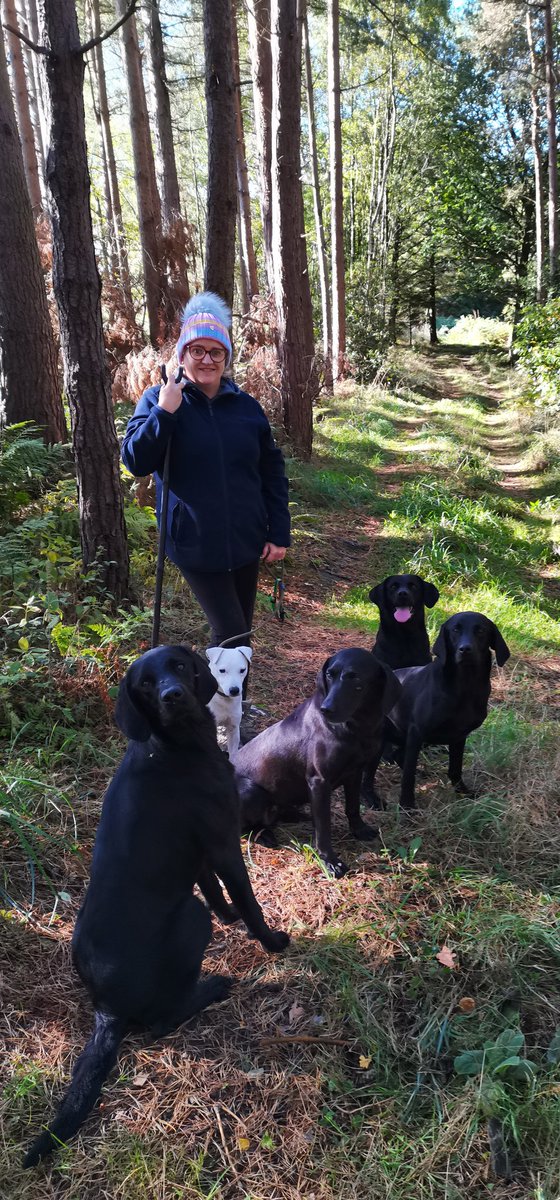 AngelaR57180628's tweet photo. #slim4xmas
#bodymagic
#slimmingworld
Nice 55 minutes walk around the woods with husband and our 4 legged family. https://t.co/2Lxp7yONG9