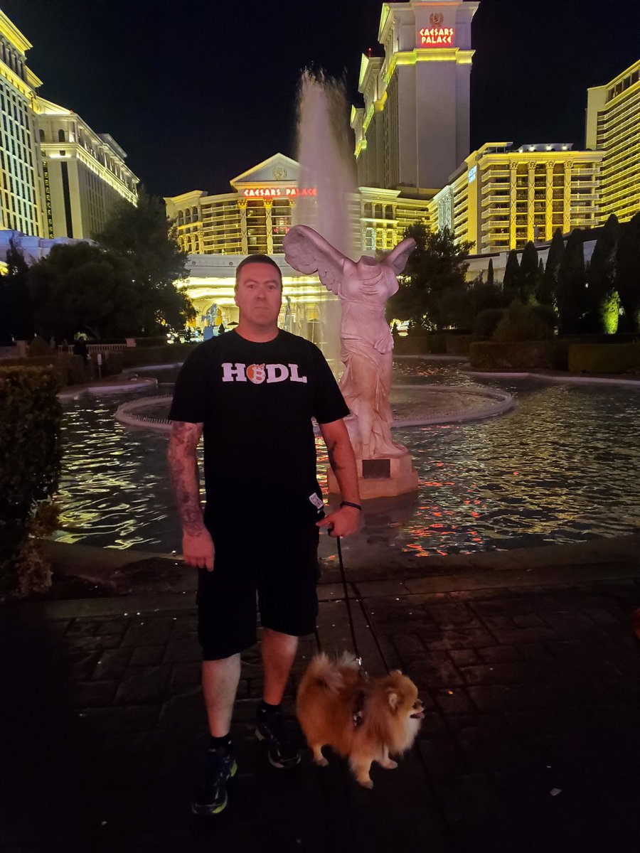 <a href="/BitBurnOfficial/">BitBurns</a> #BitBurn = #Bitcoin rewards, Get 1 of these HODL t-shirts from HelloEnhance.com merch store and get a 1 in 1000 chance to win 1 #Bitcoin !!!
