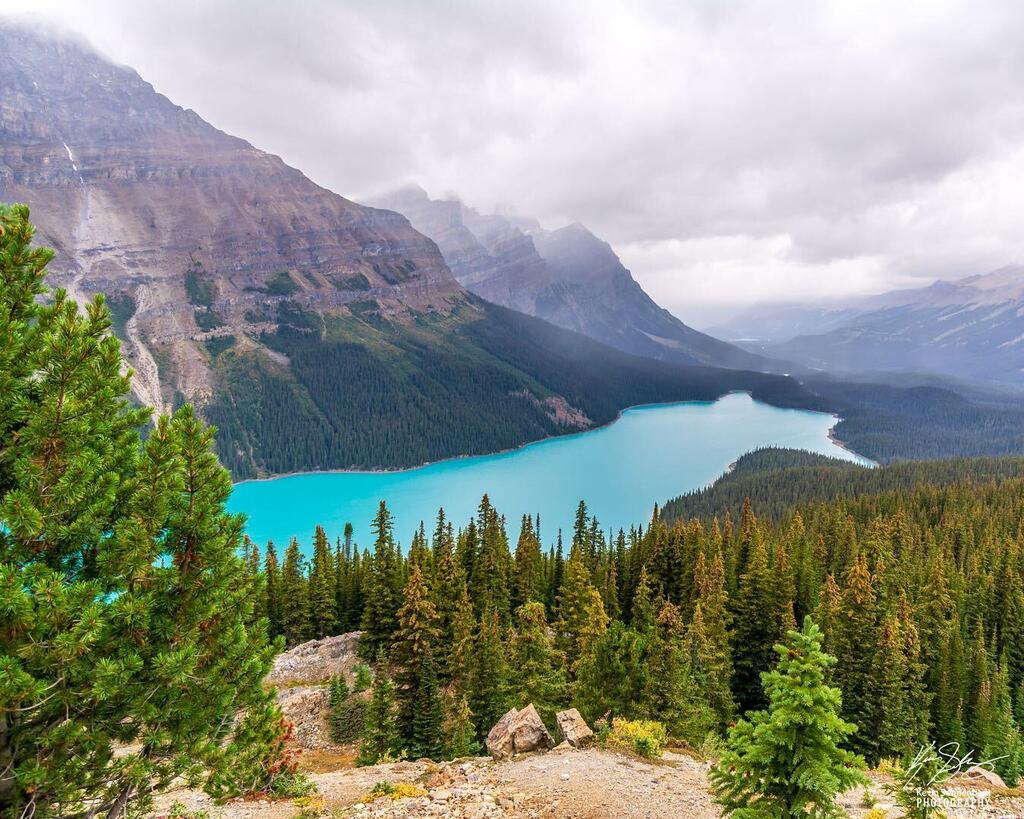 ksonnenb's tweet photo. It was an overcast day when I visited Peyto Lake last week but that didn't stop me from taking some pictures... 

This is a must stop along Icefields Parkway. Take the short hike up to the viewing platform and then take a left to get to the less busy roc… https://t.co/mux2MtPSPQ https://t.co/gfYPyF9dh1