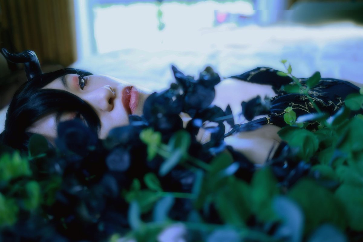 LordMidday's tweet photo. More pics! #HappyBirthdayRichard
#薔薇王の葬列 #baraou #baraounosouretsu #rotrk #requiemoftheroseking https://t.co/6A6K9R2sDy