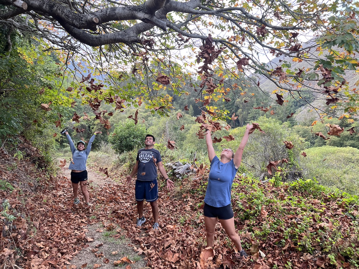 Big Sur Land Trust (@bigsurlandtrust) on Twitter photo We are jumping for joy to be part of <a href="/mcweekly/">Monterey County Weekly</a>'s Monterey County Gives! campaign again this year! Stay tuned for details when the campaign launches on November 10.
#MontereyCountyGives #MCGives #GivingSeason #MontereyCounty #LandsYouLove #BigSurLandTrust #Donate #BSLT <a href="/cfmco/">Community Foundation for Monterey County</a> We are jumping for joy to be part of <a href="/mcweekly/">Monterey County Weekly</a>'s Monterey County Gives! campaign again this year! Stay tuned for details when the campaign launches on November 10.
#MontereyCountyGives #MCGives #GivingSeason #MontereyCounty #LandsYouLove #BigSurLandTrust #Donate #BSLT <a href="/cfmco/">Community Foundation for Monterey County</a>