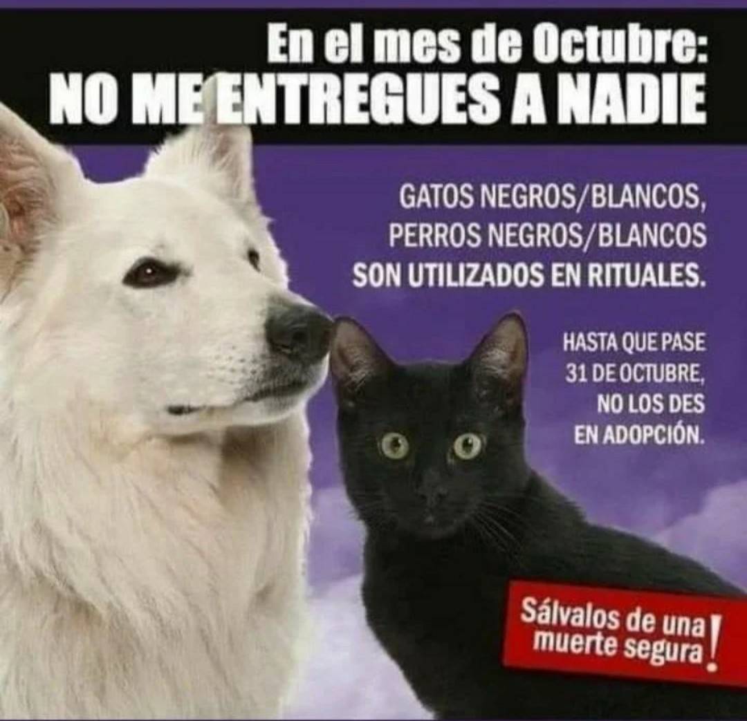 Desde ya empieza a protegerlos por favor...