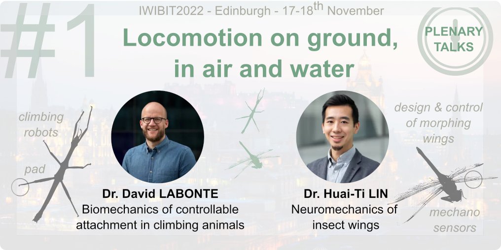 Iwibit2022's tweet photo. Scientific Program 1/6: Locomotion on ground, in air and water
Dr. David LABONTE will talk about how insects stick/unstick themselves, and Dr. Huai-Ti LIN will present the insect wing mechanosensory system. Implications for climbing robots &amp; design/control of wings! https://t.co/xGsGPIsKAJ