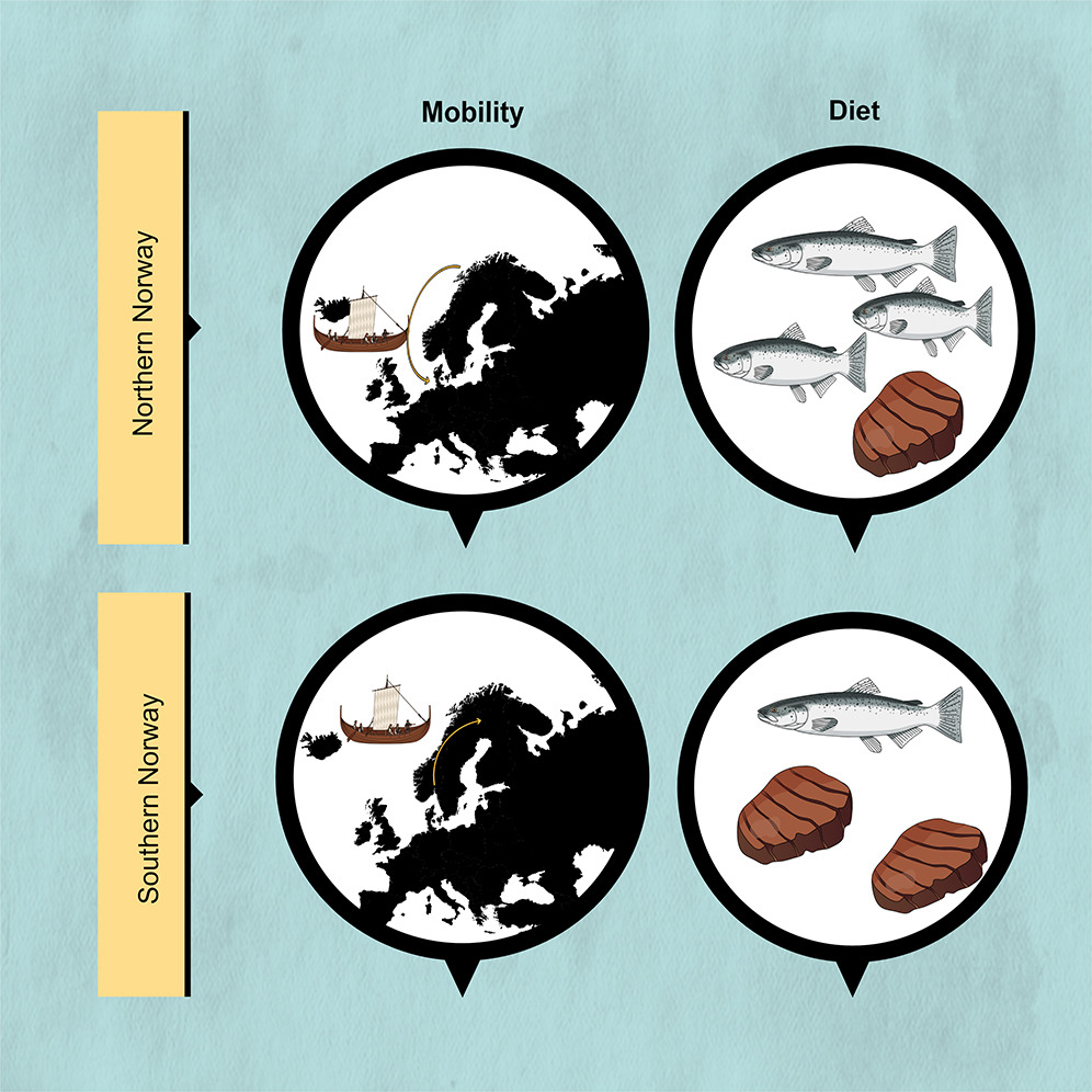 samleggs22's tweet photo. Very excited to announce that our paper on #Viking #isotopes in Norway is out as early view in @iScience_CP! This has been a long time in the making w the fabulous Lisa Strand &amp; Birgitte Skar. Viking women &amp; kids moved about too! 🧵below! 
https://t.co/M5zLrmfcw0 🐟🥩⛵️⚔️🧪🦷☠️ https://t.co/nhIKtYSs04
