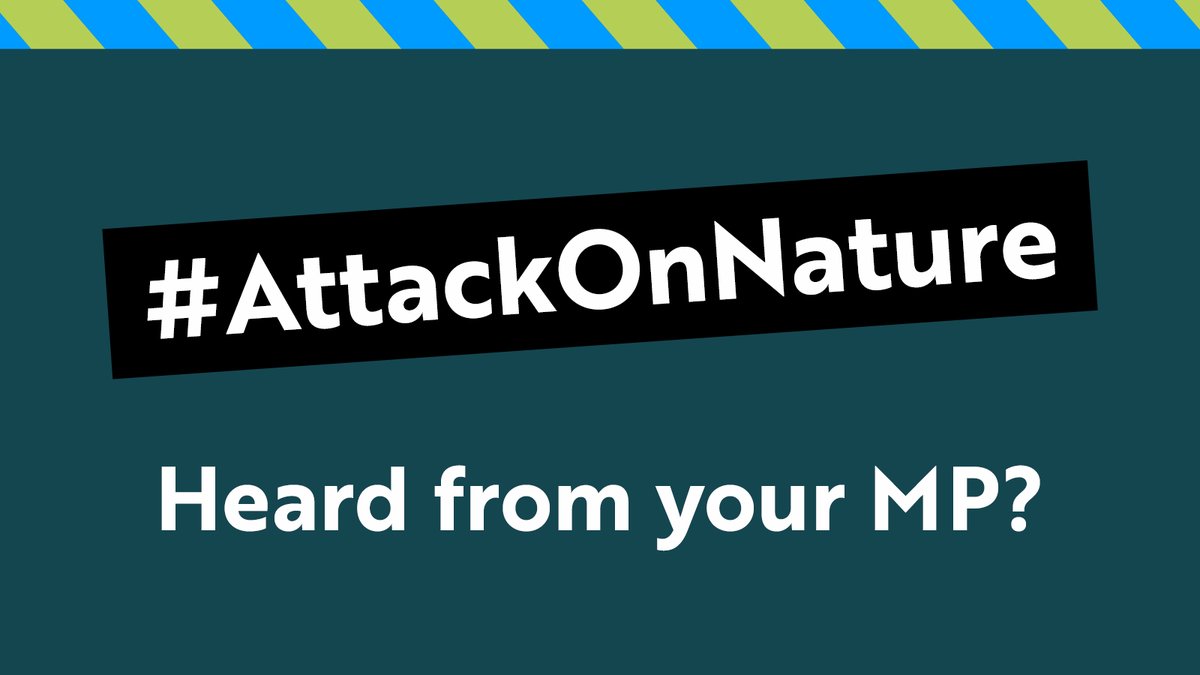 A huge thank you to everyone who has taken part in our #AttackOnNature e-action 💚 If you live in England and have had a reply from your MP, and their response questions what we have said, then we’ve pulled together some guidance to help you respond 👉 bit.ly/MP-ReplyTW