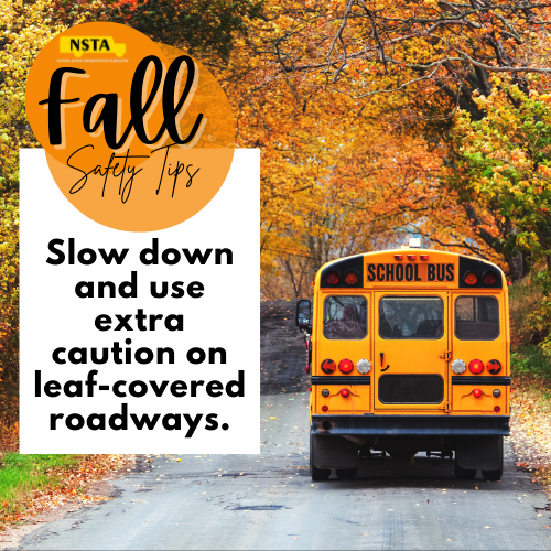 nstayellowbuses's tweet photo. Fall weather means falling leaves. It is important to use extra caution when traveling leaf covered roads as wet leaves can sometimes be as slippery as ice! #schoolbussafety #safedriving #safeschoolbus #schoolbus https://t.co/udkovApGgY