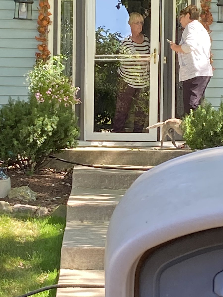 ElizabethWirth7's tweet photo. Volunteers in Ozaukee County continue to knock on doors and talk with voters.#LeadRight https://t.co/ccFEKvRj5t