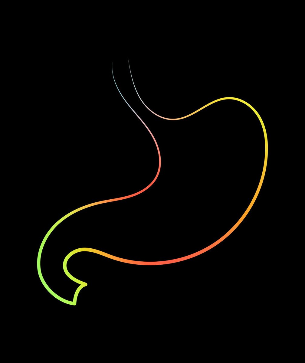 Human Body Anatomy tweet media