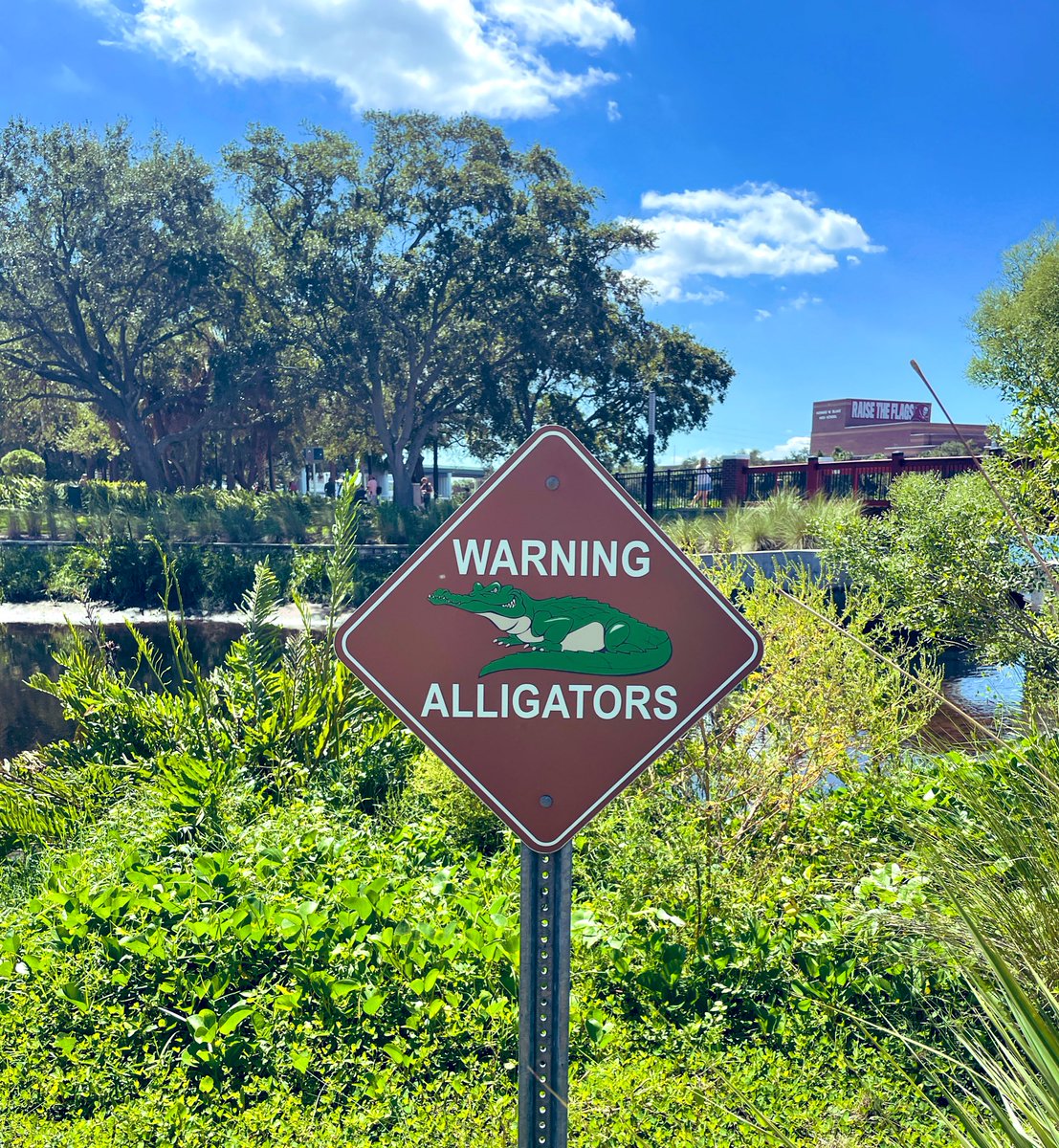 John Plumstead (Storage GP) on Twitter "LongTampa"